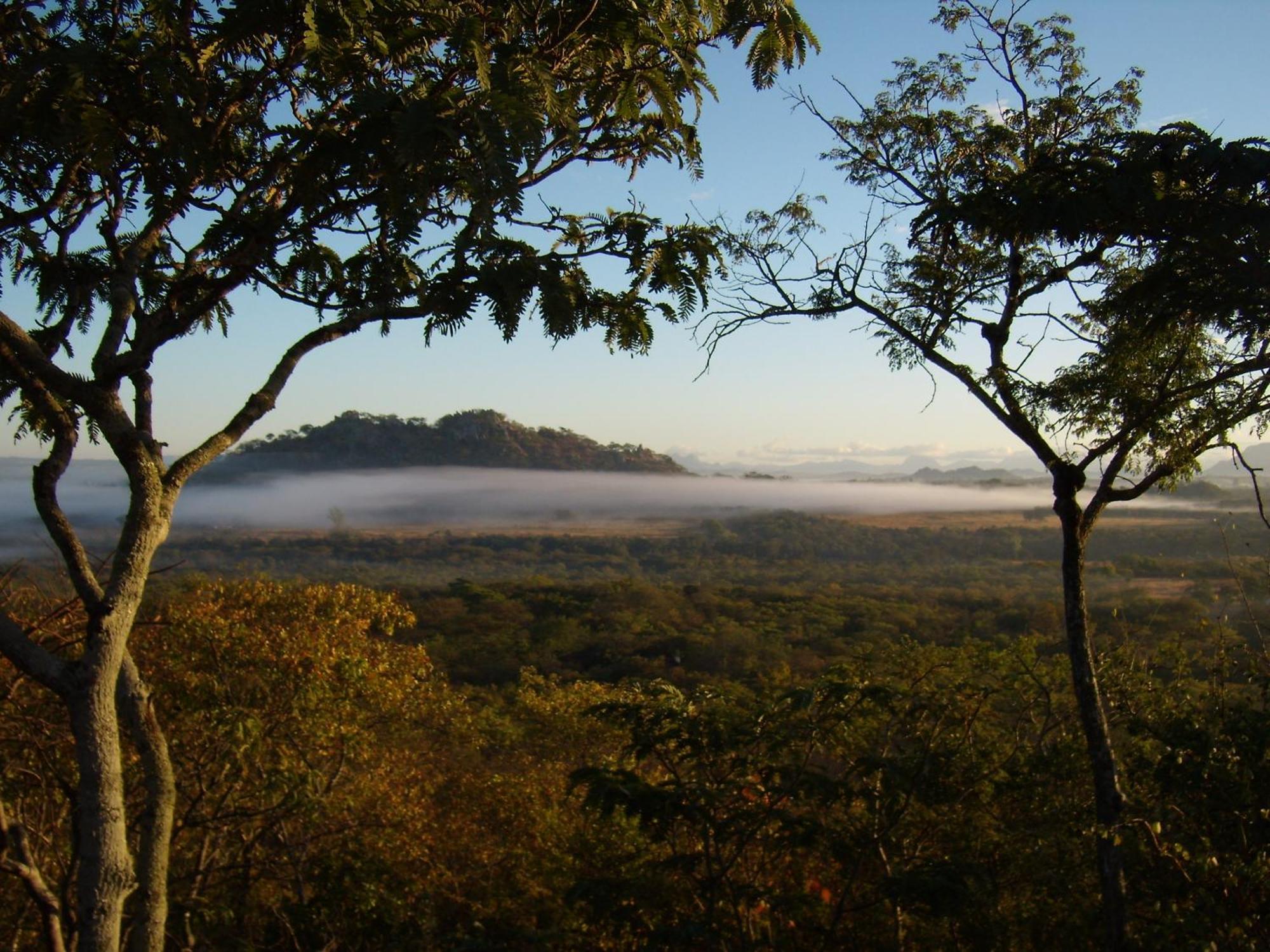 Musangano Lodge Odzi エクステリア 写真