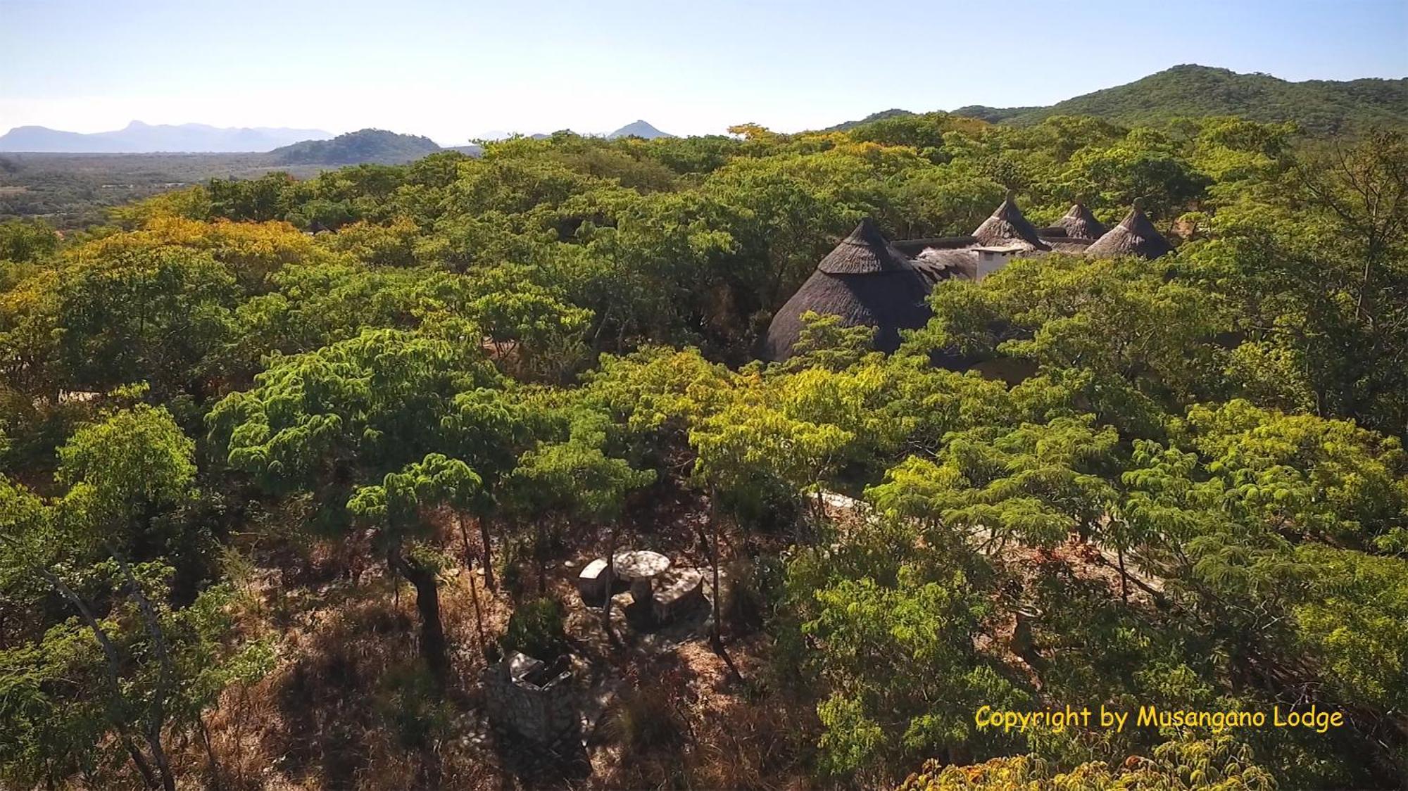Musangano Lodge Odzi エクステリア 写真