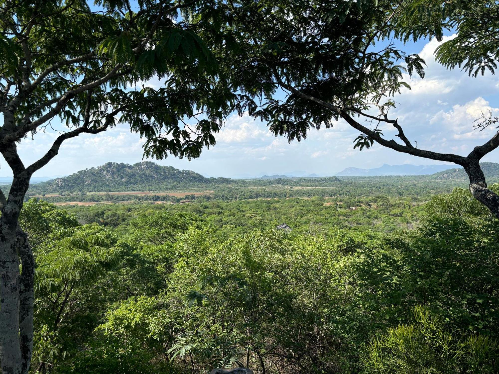 Musangano Lodge Odzi エクステリア 写真