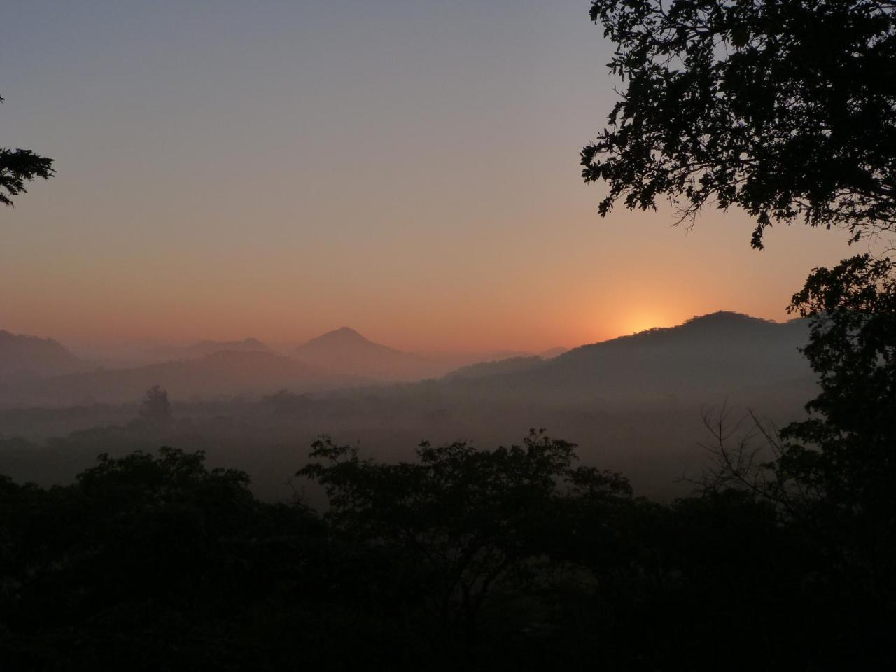 Musangano Lodge Odzi エクステリア 写真